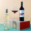 【礼盒】 苏珊娜巴博多米马尔贝克红葡萄酒+西乐甜型白葡萄酒 商品缩略图0