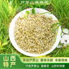 山西特产摘麻麻花农家干货增香调味品拌凉菜拌面 商品缩略图1