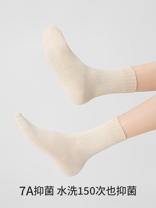 副歌高棉基础抑菌2670/1617 商品图5