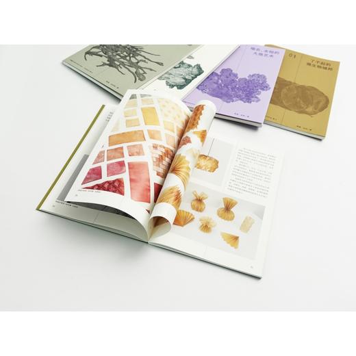 方物:细菌如梭，织就成布 商品图4