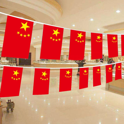 国旗串旗8号 商品图2