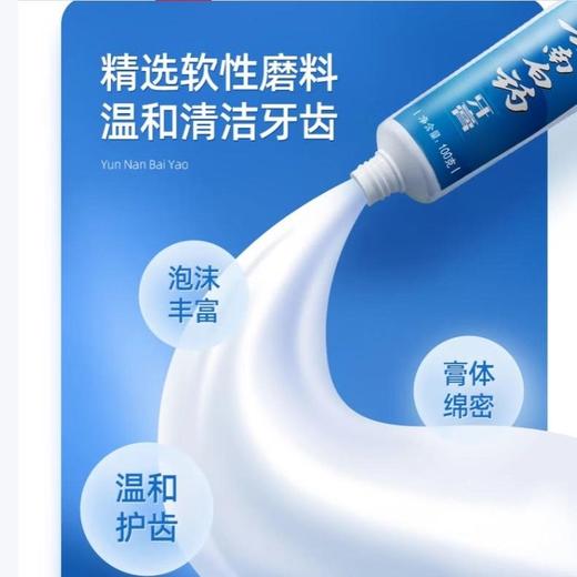 云南白药牙膏 留兰香型100g 商品图3