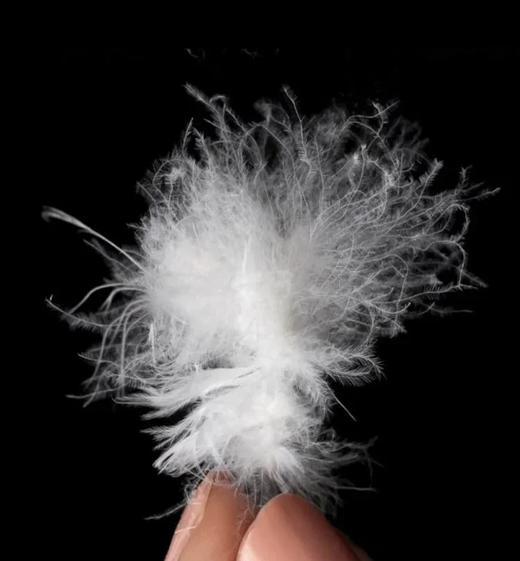 【清仓轻薄羽绒服】 Under Armour安德玛儿童  轻薄羽绒服244106175 商品图3