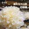 【厂商直发】有机银耳干货无熏硫无添加细腻软糯煲汤红枣汤食材代餐煮粥包邮 商品缩略图3