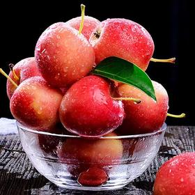 【新疆香妃海棠果】拍3斤实发3.5斤 顺丰到家，顺丰不到区域发普快 酸甜可口 皮薄肉厚 颜色鲜艳 果子玲珑小巧 3斤礼盒装