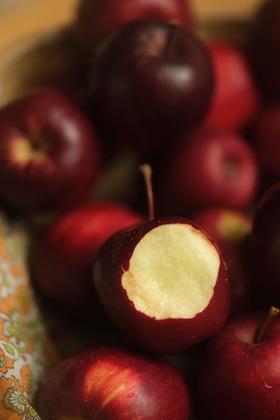 出口级|米其林餐厅同款香格里拉雪域苹果！3300米高原的极致味觉享受！