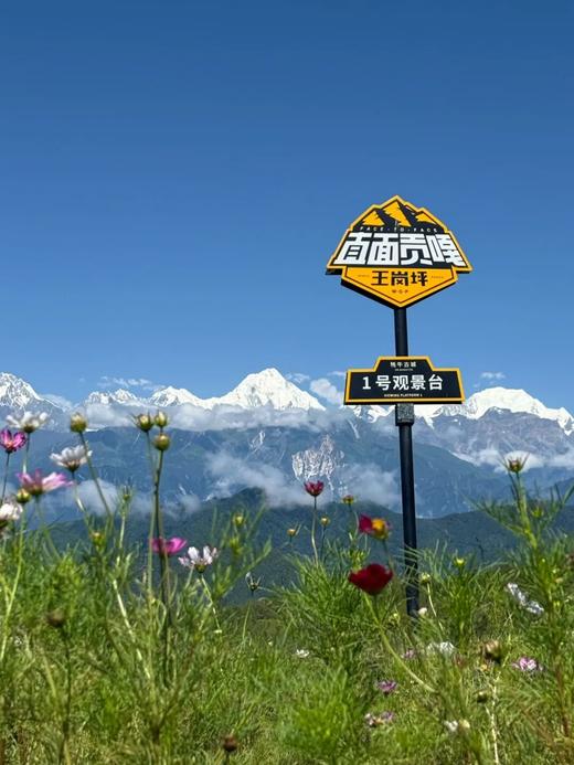 即买即用【雅安王岗坪景区】118元含门票+索道往返+观光车套票，云端上的度假天堂，星空下的雪山盛宴，穿云海看银河，直击贡嘎C位观景，邂逅日照金山！ 商品图1