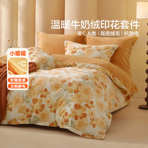 水星家纺A类牛奶绒印花四件套 商品图0