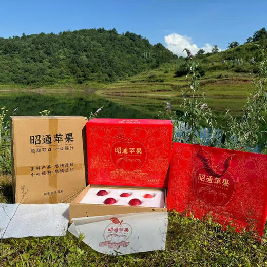 云南昭通高原冰糖心丑苹果脆甜多汁 商品图9