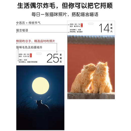 预售 预计10月初发货 爱猫无忧 喵呜不停2026日历 猫咪日历2026年街猫日历全新上市365天台历可爱猫咪写真萌宠日历 商品图4
