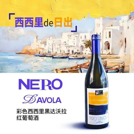意大利费碧酒庄西西里色彩系列葡萄酒 商品图0