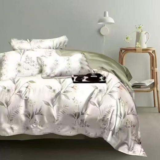 【春上新】10楼 恐龙 全棉生态印花四件套 青墨-兰/ 翠玉-绿 200*230cm   吊牌价1680元    活动价399元 商品图3