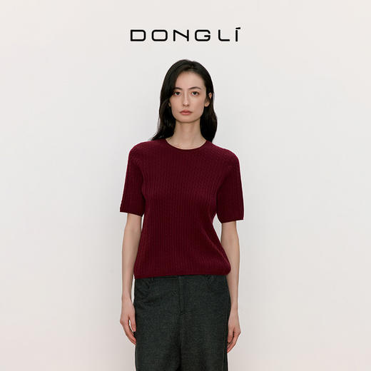 东黎 • 我不被驯化 小山羊绒女士秋季绞花半袖 5516 商品图8