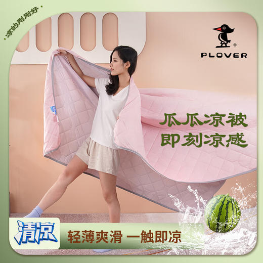 PLOVER啄木鸟(PLOVER)春秋新款凉感丝夏被 商品图0