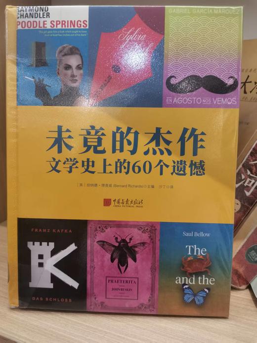 【独家旧书3折】未竞的杰作文学史上的60个遗憾 二手书籍（新疆 西藏 甘肃 青海 海南不发货）bj 商品图0