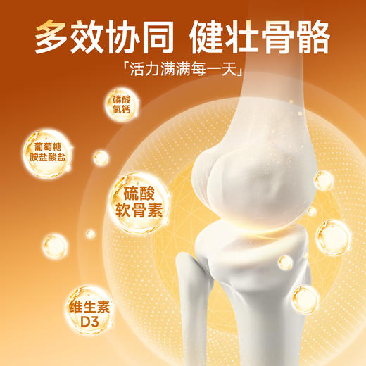 经典系列通用狗粮｜肠胃呵护｜健康骨骼｜省心喂养｜多维营养 商品图2