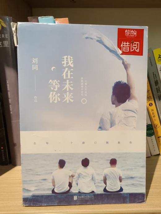 【独家旧书3折】 我在未来等你 二手书籍（新疆 西藏 甘肃 青海 海南不发货）bj 商品图0