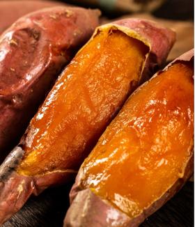 山东原种烟薯25号