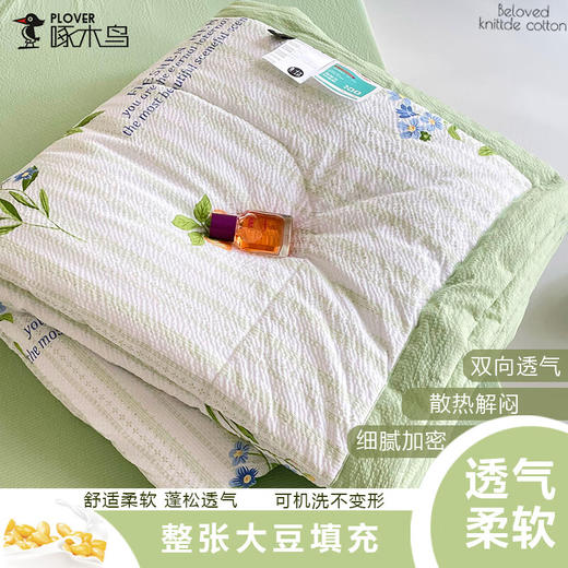 PLOVER啄木鸟(PLOVER)夏凉被-泡泡纱鲜豆被（200*230CM） 青青草原 200cm*230cm 商品图1