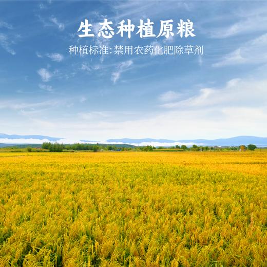 谦益益米锅巴160g 五香/香辣 生态食材 天然调料  谷物原香 香脆可口 健康快乐小零食 小袋分装更容易携带 商品图6