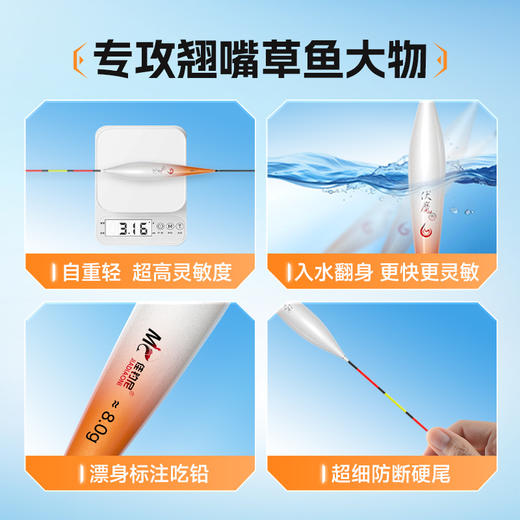 佳钓尼翘嘴纳米漂防断硬尾高灵敏度专攻翘嘴草鱼等大物延长雾化接口更清晰 商品图1