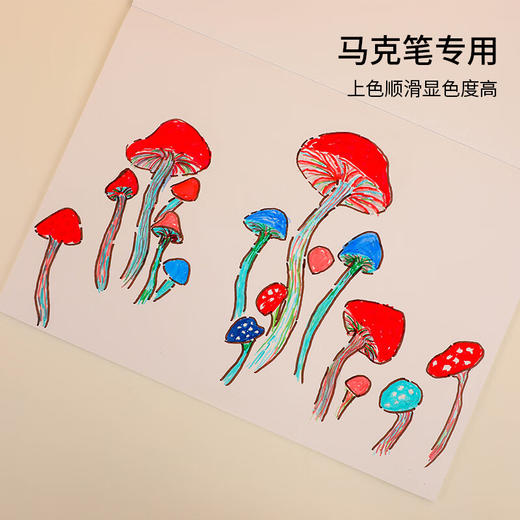 国誉Campus胶装马克本 A4/30页 WCN-CSKM0233 商品图1