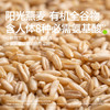 田喜粮鲜有机燕麦米 富含膳食纤维 燕麦米营养早餐代餐五谷杂粮粗粮410g /粮油调味 /杂粮 /谷米类 商品缩略图4