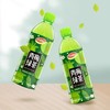 达利园青梅绿茶饮料 500ml 商品缩略图1