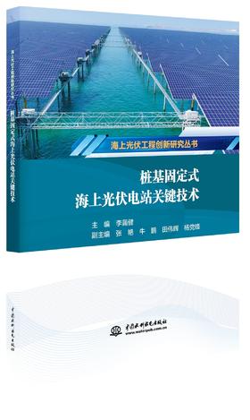 《桩基固定式海上光伏电站关键技术》