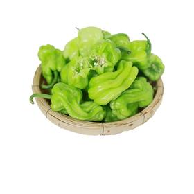 【超市】百盛鲜蔬达 皱皮椒 约200g