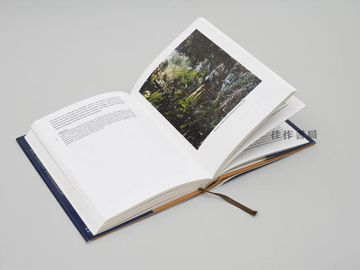 Thomas Struth: Texte zum Werk von Thomas Struth / 托马斯·斯特鲁特：作品文献集 商品图2