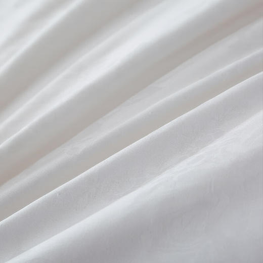 PLOVER啄木鸟(PLOVER)夏被-纯棉提花蚕丝被-ZMN-CSXB-02 商品图4