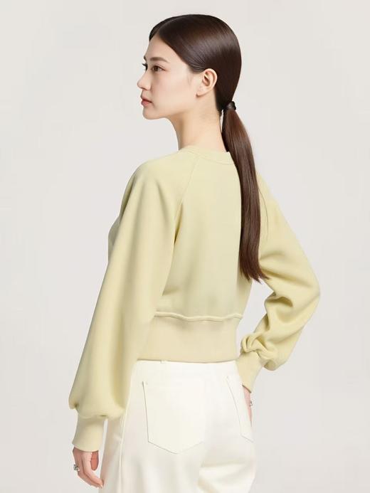 【工艺系列卫衣】刺绣款～95%棉短款宽螺纹牙刷绣卫衣-喜出 商品图1