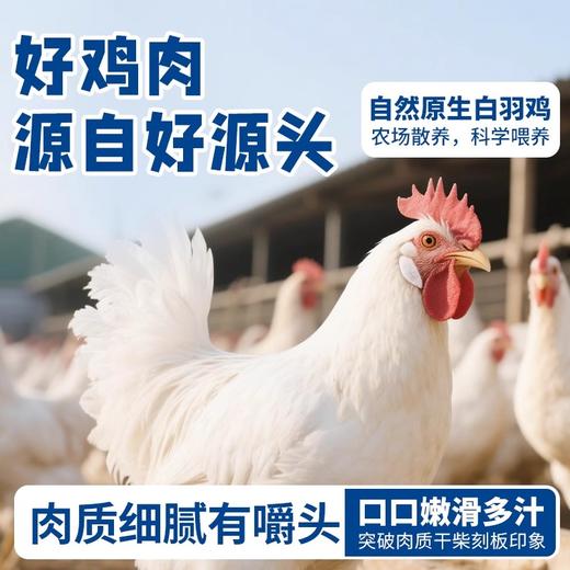 【满满蛋白质】暴肌独角兽鸡胸肉开袋即食3/9包 商品图1