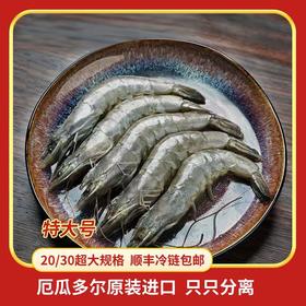 严选 | 厄瓜多尔盐冻大虾 20/30规格 1.65kg/盒