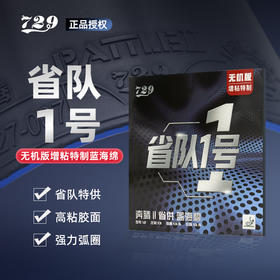 七二九729省队一号蓝海绵奔腾2专业乒乓球胶皮免灌内能高粘性正手反胶套胶