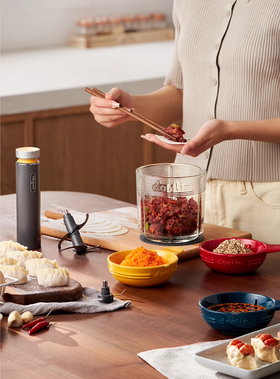 东菱绞肉机多功能家用电动小型料理机辅食绞菜碎肉搅拌机佐料机 钛金灰（玻璃碗款-）5028