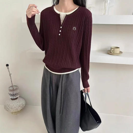 2025春秋假两件套麻花刺绣长袖韩版秋装新款长袖气质休闲女装！ 商品图0