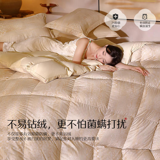 水星家纺A类羽绒被 商品图2