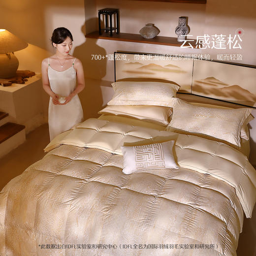 水星家纺A类羽绒被 商品图1