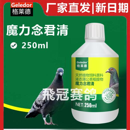 格莱德魔力念君清250ml魔力念菌清信鸽用品赛鸽鸽子调理保健 商品图0