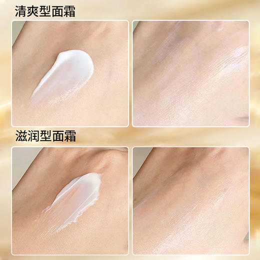 雅诗兰黛精华水面霜三件套礼盒款 （普通原生液200ml＋智妍面霜75ml＋特润100ml ）带礼盒礼品袋 商品图5