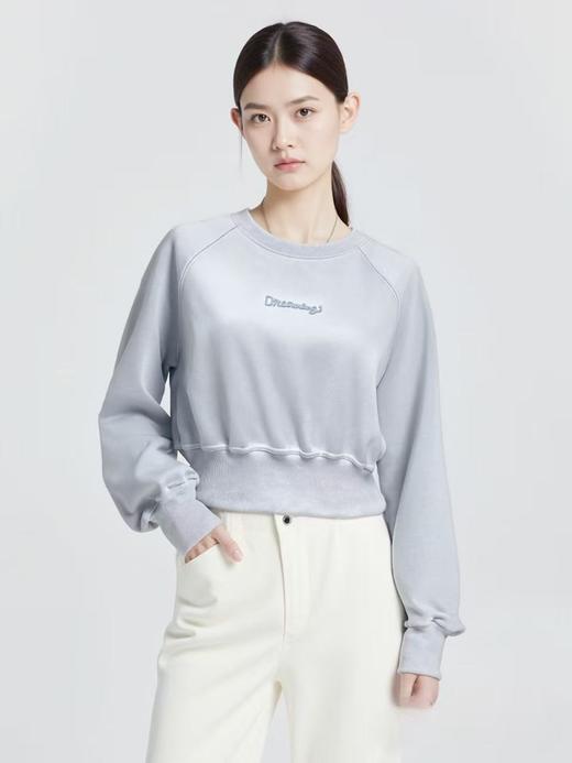 【工艺系列卫衣】刺绣款～95%棉短款宽螺纹牙刷绣卫衣-喜出 商品图2