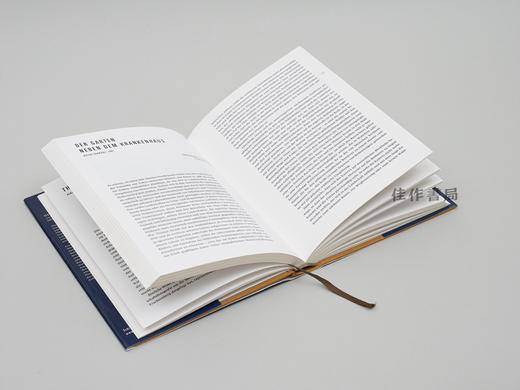 Thomas Struth: Texte zum Werk von Thomas Struth / 托马斯·斯特鲁特：作品文献集 商品图3
