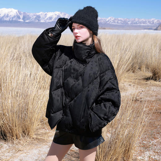 【90白鹅绒】三彩2025冬季新款提花鹅绒服缎面羽绒服立领M 商品图1