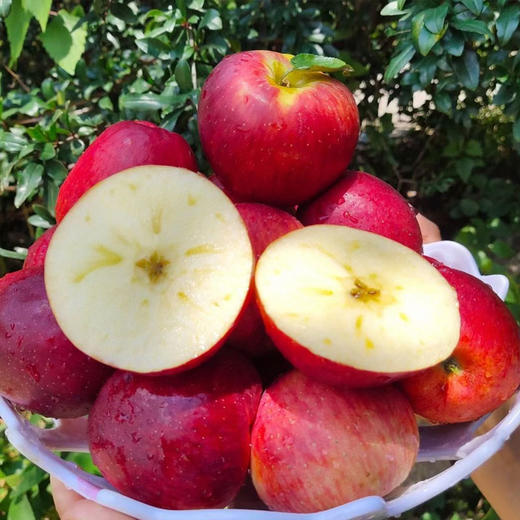 云南昭通高原冰糖心丑苹果脆甜多汁 商品图0