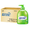 洗手液合集-整箱【品牌直发】消灭99%病菌 |蓝月亮芦荟滋润清爽洗手液500g瓶装  多规格可选 80000618、80000581 商品缩略图4
