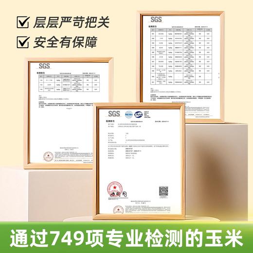 东北田里有草甜糯黑玉米/黄甜糯玉米 含花青素 配料干净 商品图8