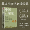 梁庄三部曲 梁鸿非虚构经典《中国在梁庄》《出梁庄记》《梁庄十年》套装3册 商品缩略图4