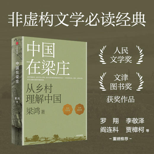梁庄三部曲 梁鸿非虚构经典《中国在梁庄》《出梁庄记》《梁庄十年》套装3册 商品图4